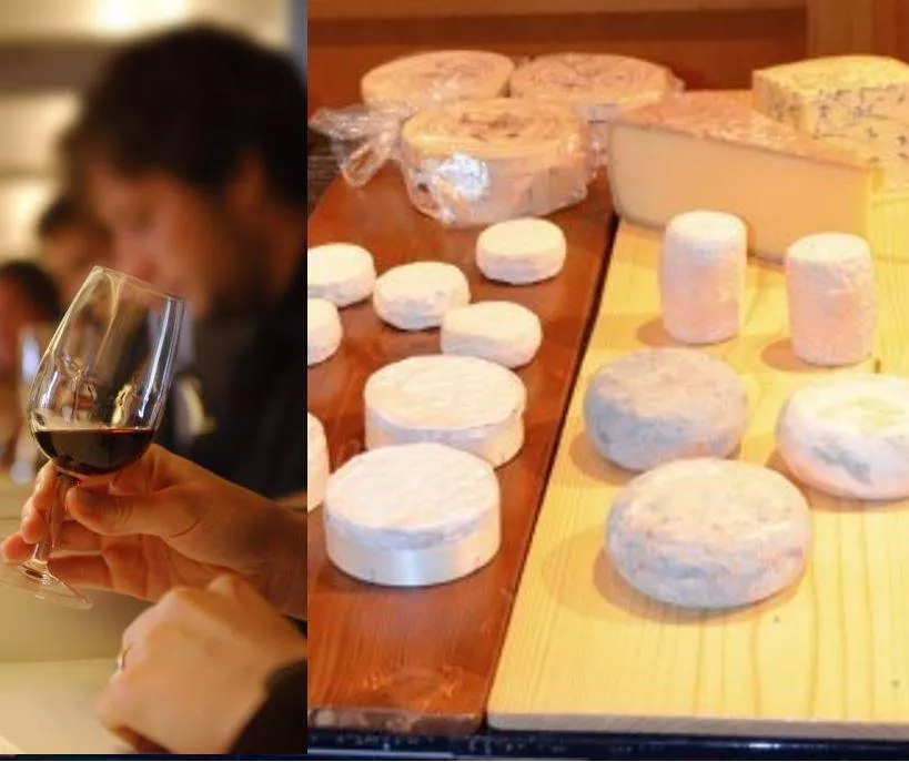 Lifestyle : Dégustation Vins & Fromages