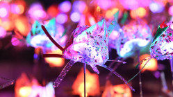 Deux Lyonnaises réinventent les luminaires entre design et poésie