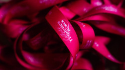 "On se doit de faire conna&icirc;tre ce cancer du sein triple n&eacute;gatif" : un challenge sportif lanc&eacute; &agrave; Lyon et dans toute la France