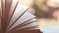 Ces deux librairies devraient d&eacute;finitivement fermer &agrave; Lyon