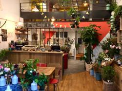 Une jungle a poussé en plein Lyon, laissant place à un café verdoyant !