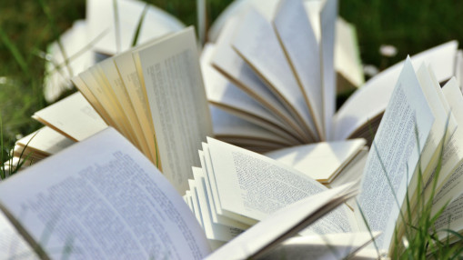 Trois romans qu&rsquo;on a h&acirc;te de lire en 2026