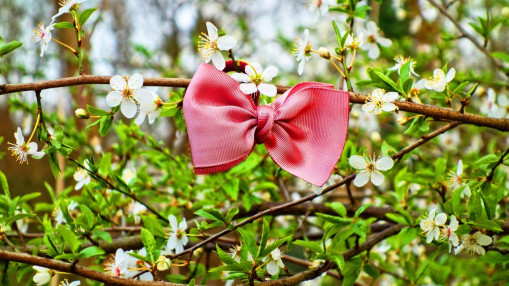 Shopping à Lyon : le nœud sous toutes ses coutures Shopping à Lyon : le nœud sous toutes ses coutures