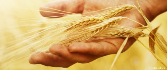 ALIMENTATION : LES FRANCAIS RECLAMENT PLUS DE PRODUITS NATURELS ET SE MEFIENT DU DISCOURS DES MARQUES