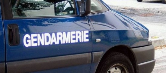 Vaucluse: une femme sauvée du suicide par son chien