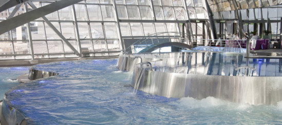 Optez pour la “wellness attitude” ! Optez pour la “wellness attitude” !