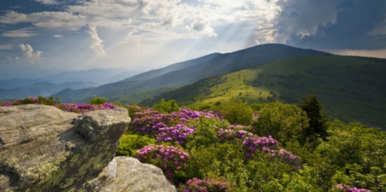 DECOUVREZ LA MONTAGNE L'ETE DECOUVREZ LA MONTAGNE L'ETE
