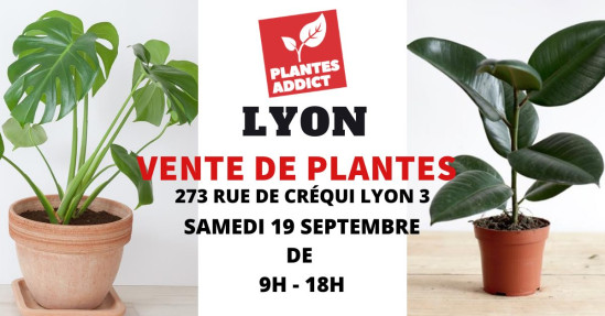 Vente de plantes à partir de 1€ by Plantes Addict Vente de plantes à partir de 1€ by Plantes Addict