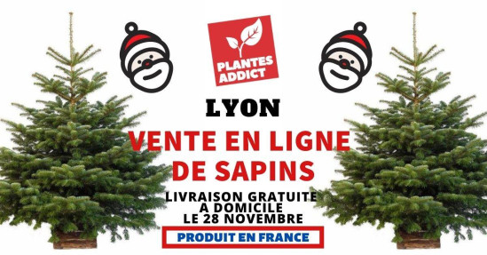 Un sapin dans ton salon (Livraison gratuite Lyon) Un sapin dans ton salon (Livraison gratuite Lyon)