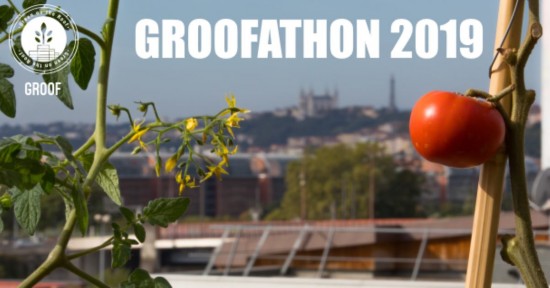 Formation "Découverte des potagers en toitures" Formation "Découverte des potagers en toitures"