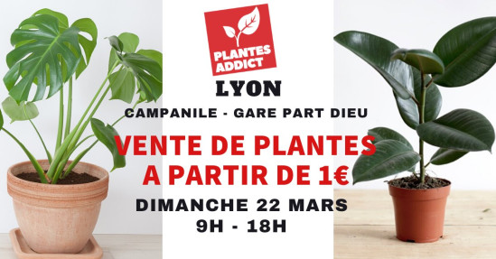 Vente de plantes à partir de 1€ by Plantes Addict Vente de plantes à partir de 1€ by Plantes Addict