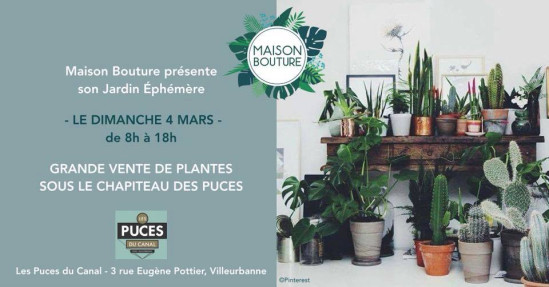Jardin éphémère : un marché aux puces... à plantes !