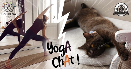 Loisirs : Yoga Chat avec Holiflow