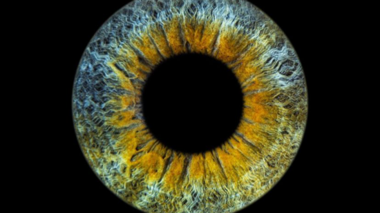 Lyon : Eyemazy, une boutique au concept inédit prend en photo votre iris