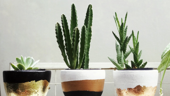 Une grande jardinerie s'installe à deux pas de la place Bellecour !