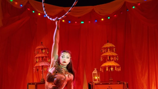 Un cirque écologique et sans animaux débarque à Lyon !