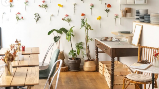 Lyon : Comptoir Sauvage, le paradis veggie géré par deux entrepreneuses à la Croix-Rousse ! Lyon : Comptoir Sauvage, le paradis veggie géré par deux entrepreneuses à la Croix-Rousse !