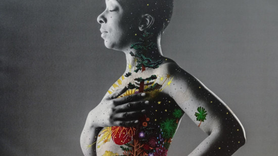 Le projet Vénus à la recherche de modèles pour poser seins nus contre le cancer du sein