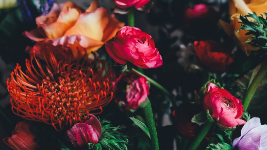 5 fleuristes lyonnais pour l’arrivée du printemps !