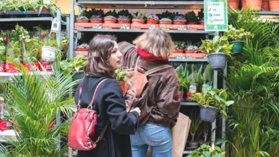 Lyon : une grande vente de plantes à partir de 2 euros ce week-end ! Lyon : une grande vente de plantes à partir de 2 euros ce week-end !