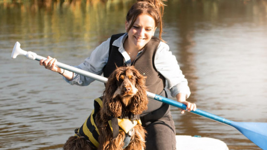 Les chiens à l’honneur d’un nouveau festival à Lyon !