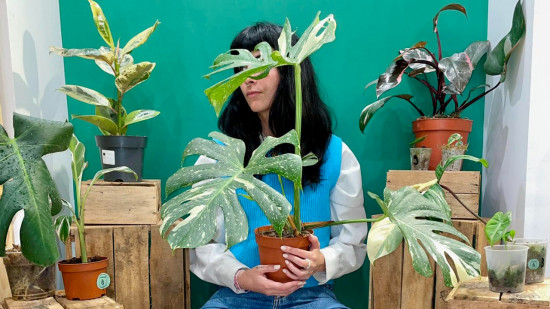 Hankō fête ses 2 ans !