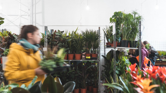 Lyon : une grande vente de plantes ce dimanche à Lyon