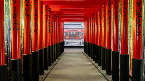 Coup d’envoi à Lyon d’une grande exposition immersive sur le Japon
