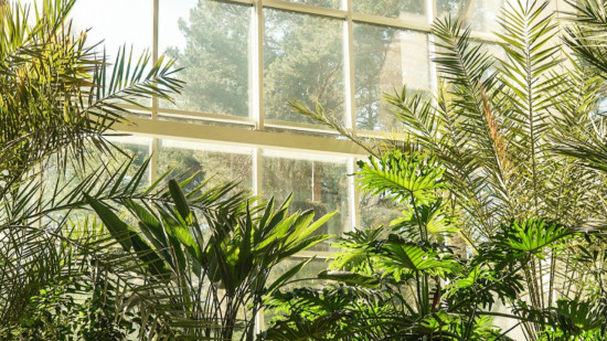 Ce lieu de Lyon va se transformer en jungle géante à l’occasion d’une grande vente de plantes Ce lieu de Lyon va se transformer en jungle géante à l’occasion d’une grande vente de plantes