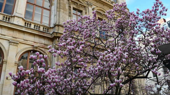 On fait quoi à Lyon ce week-end du 22 et 23 mars 2025 ? On fait quoi à Lyon ce week-end du 22 et 23 mars 2025 ?