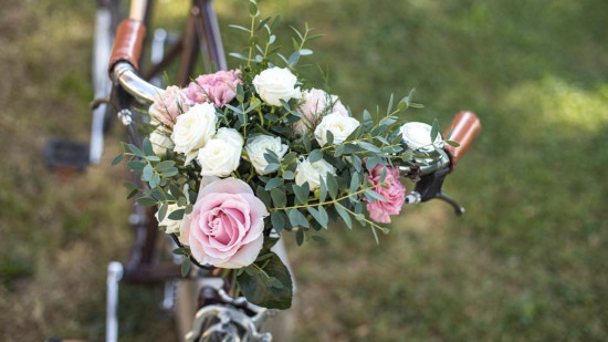 Une vente de plantes au kilo organisée près de Lyon