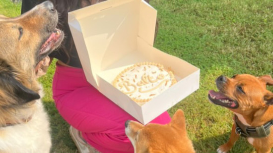 La première plateforme de livraison de repas pour chiens imaginée par une Lyonnaise