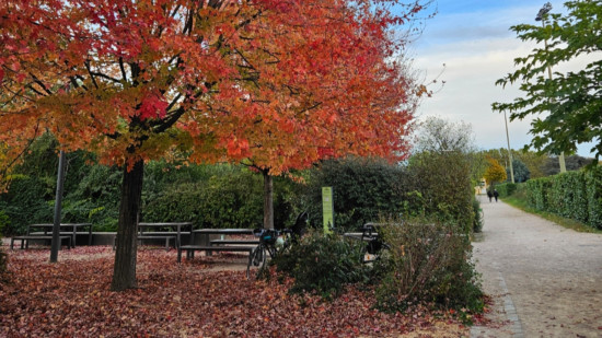 Lyon dans le classement mondial des villes les plus instagrammables en automne Lyon dans le classement mondial des villes les plus instagrammables en automne