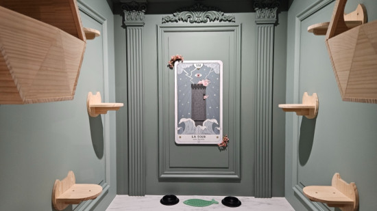 Un hôtel 5 étoiles pour chats vient d’ouvrir à Lyon