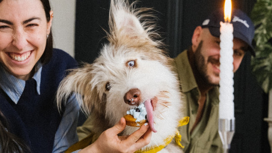 Cette Lyonnaise va ouvrir "le Charlie et la chocolaterie des chiens"