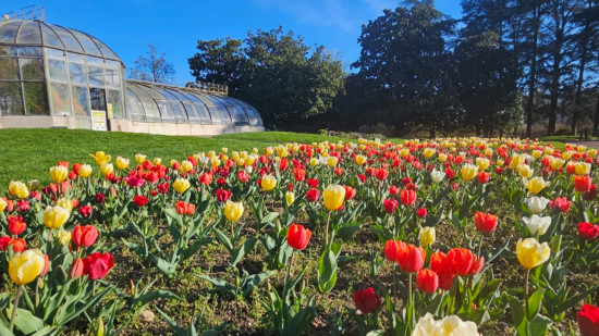 On fait quoi ce week-end du 20, 21 et 22 mars ?