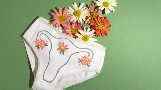 Les protections p&eacute;riodiques r&eacute;utilisables vont &ecirc;tre rembours&eacute;es d&egrave;s la rentr&eacute;e prochaine&nbsp;