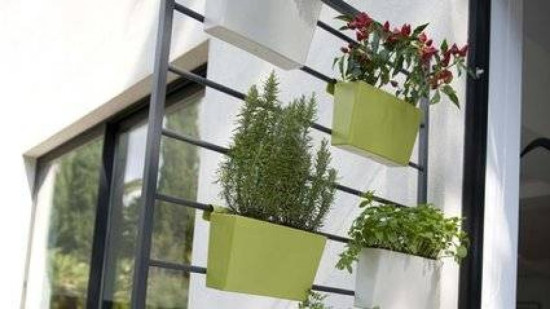 UN MUR VEGETAL A PETITS PRIX POUR MON BALCON UN MUR VEGETAL A PETITS PRIX POUR MON BALCON