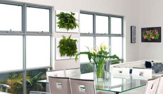 Le cadre végétal : tendance déco verte Le cadre végétal : tendance déco verte