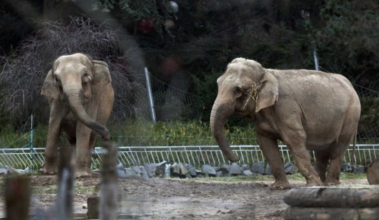 Baby et Népal : l’ambassadrice de Monaco est à Lyon ce mardi