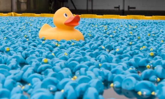 LE LOVEMETRE DE MAI LE LOVEMETRE DE MAI