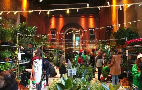 Lancement du printemps: grande vente de plantes!