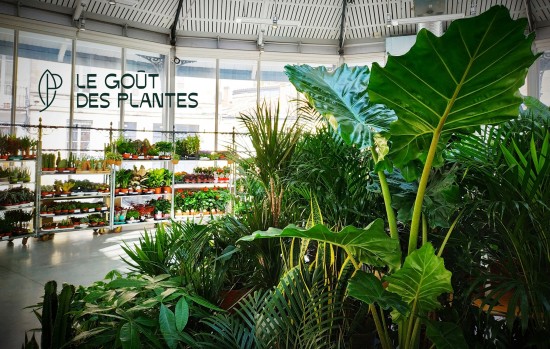 Le Marché Végétal d'Antoine et Julien