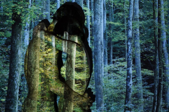 Les nouveaux mots du sexe 2013 Les nouveaux mots du sexe 2013