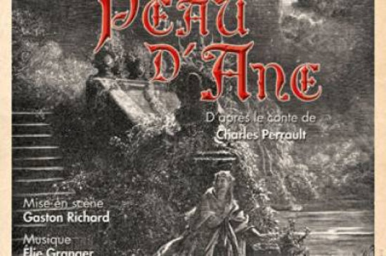 SPECTACLE : PEAU D'ANE A LYON