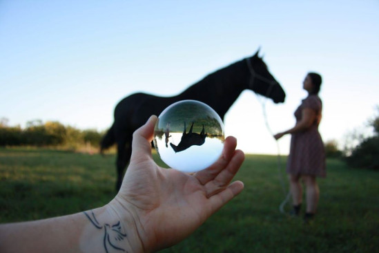 Participez à une initiation à la communication animale Participez à une initiation à la communication animale