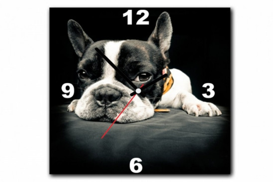 TABLEAU HORLOGE ANIMAUX TABLEAU HORLOGE ANIMAUX