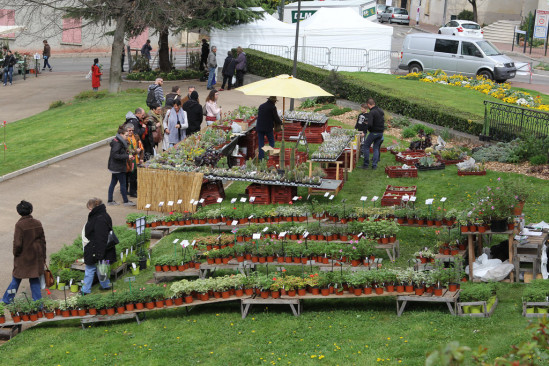 8e foire de plantes rares au parc Genay !