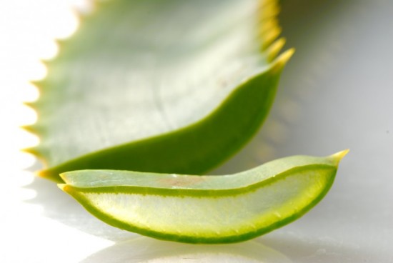 ALOE VERA, SES BIENFAITS