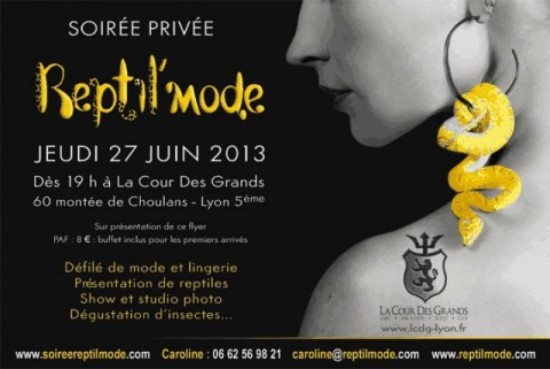 REPTIL'MODE REPTIL'MODE